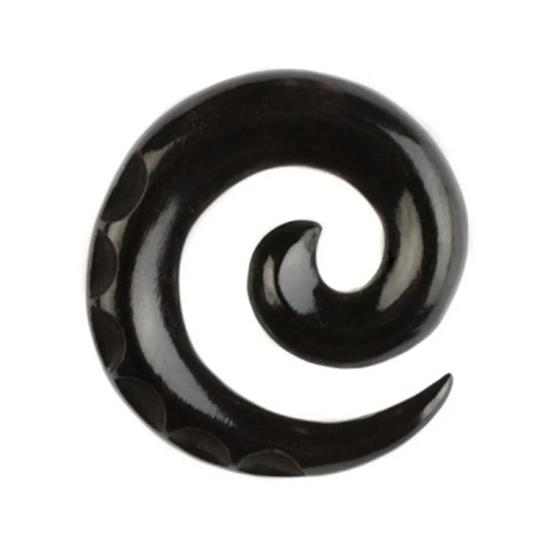 Notched Spiral Earrings - Horn